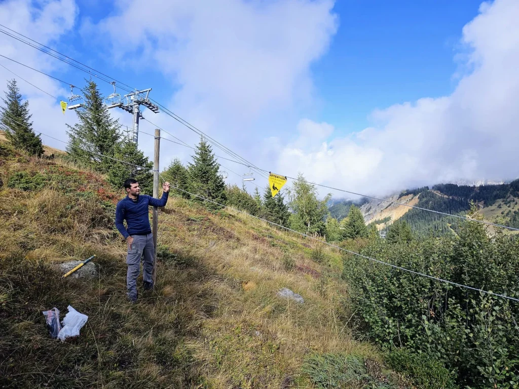 Entretien de la zone d'hivernage Tétra lyre de l'Aiguille du Fruit