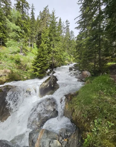 Notre usage de l’eau